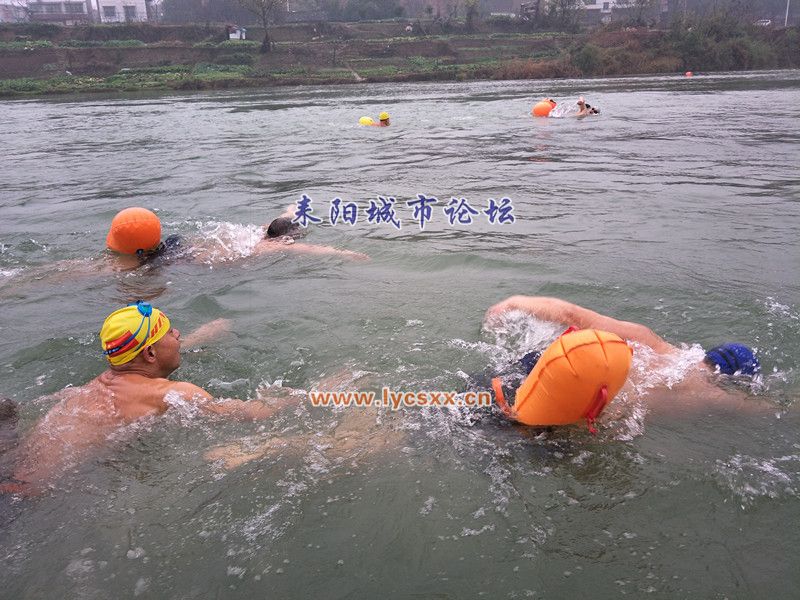 IMG20171230113528_.jpg