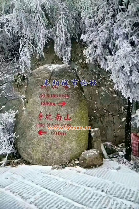 37d7af51f3deb48f5a0f7c35fb1f3a292cf578a1.jpg