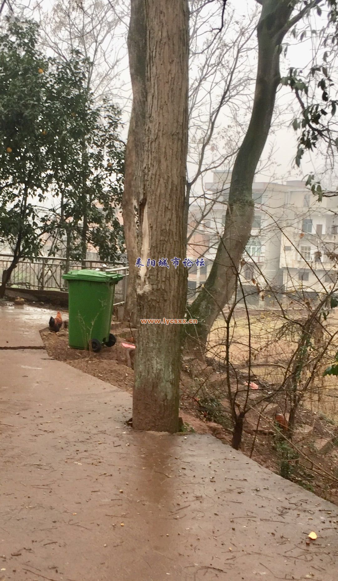 ΢ͼƬ_20180121100312.jpg