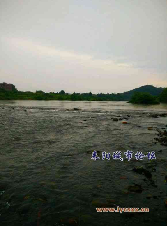 c8d50a3b5bb5c9eaa866b8b2dd39b6003bf3b39d.jpg