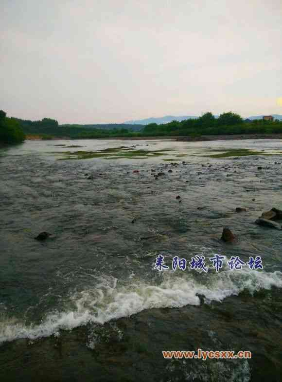 d1bbe9fe9925bc315cf0bac956df8db1ca137084.jpg