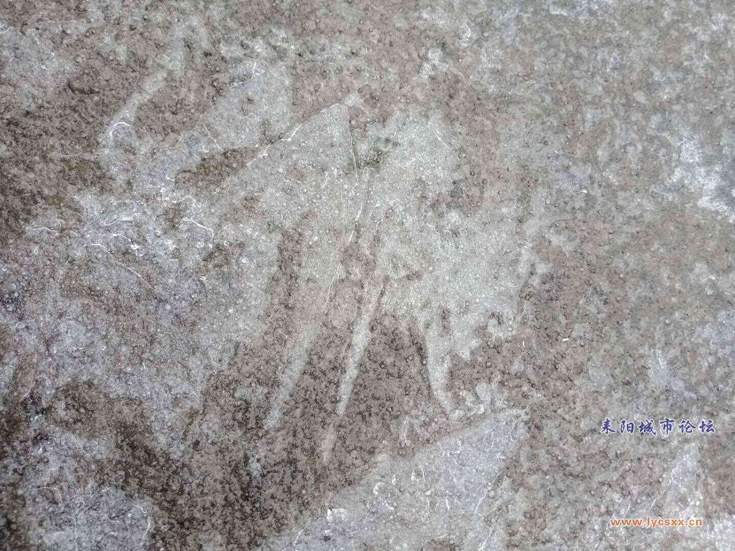 ΢ͼƬ_20180128101243.jpg