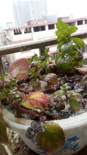 1517107866832.jpg