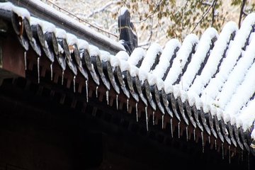 t01e06c0a5e6440a61a.jpg