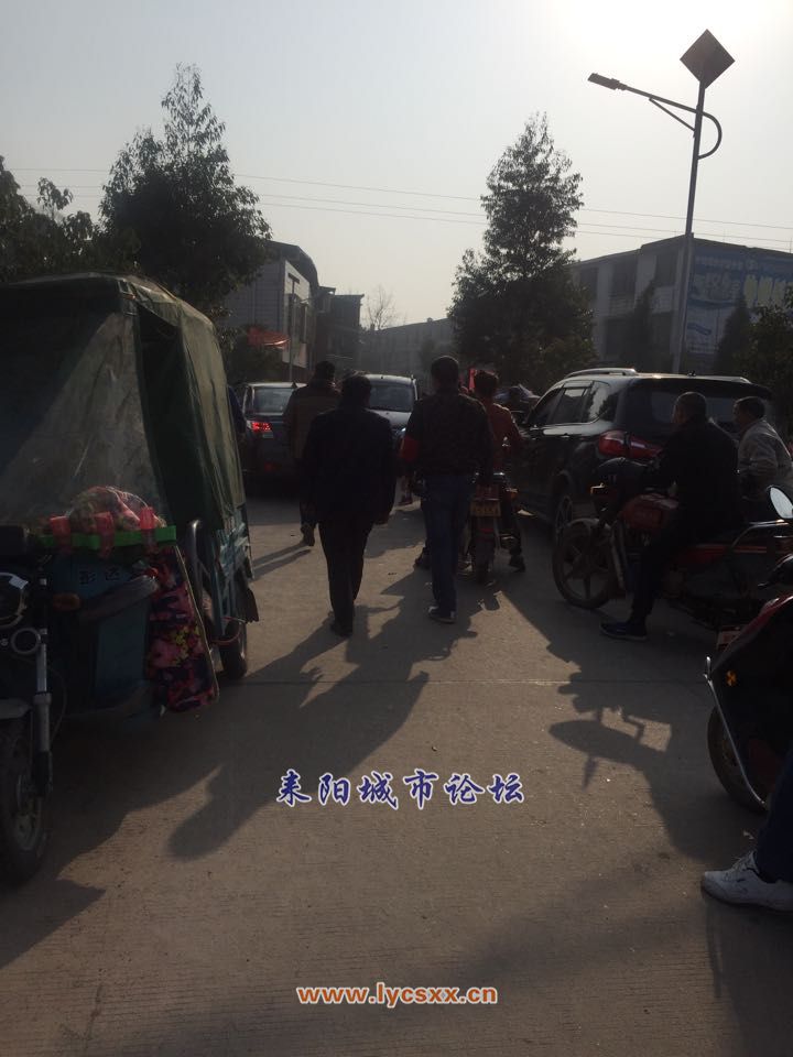 mmexport1518495530285.jpg