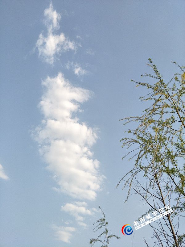 IMG20180323173430_.jpg
