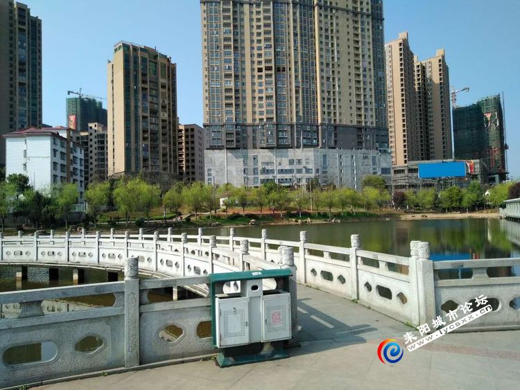  05.jpg