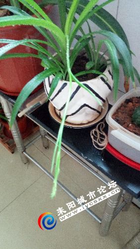 IMG_20180414_095143.jpg