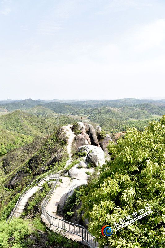 _DSC2310_副本.jpg