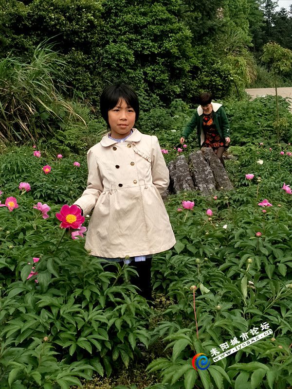 IMG20180415153231_.jpg