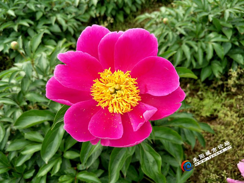 IMG20180415153533_.jpg
