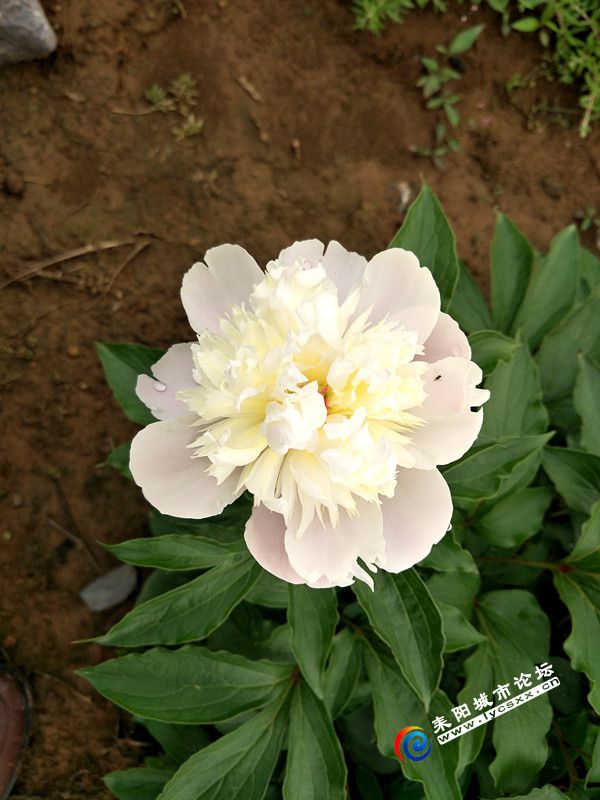 IMG20180415153907_.jpg