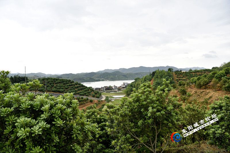_DSC3572_.jpg