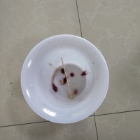 ΢ͼƬ_20180505184053.jpg