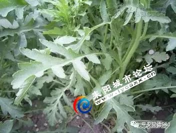 ΢ͼƬ_20180507094246.jpg