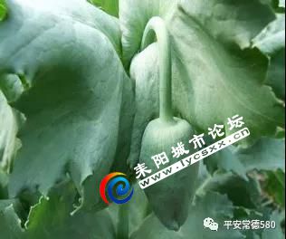 ΢ͼƬ_20180507094251.jpg