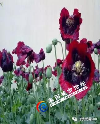 ΢ͼƬ_20180507094258.jpg