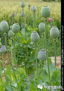 ΢ͼƬ_20180507094304.jpg