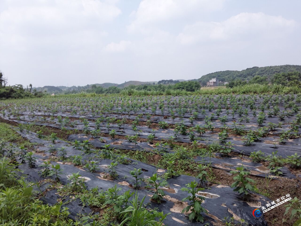QQͼƬ20180509070900.jpg