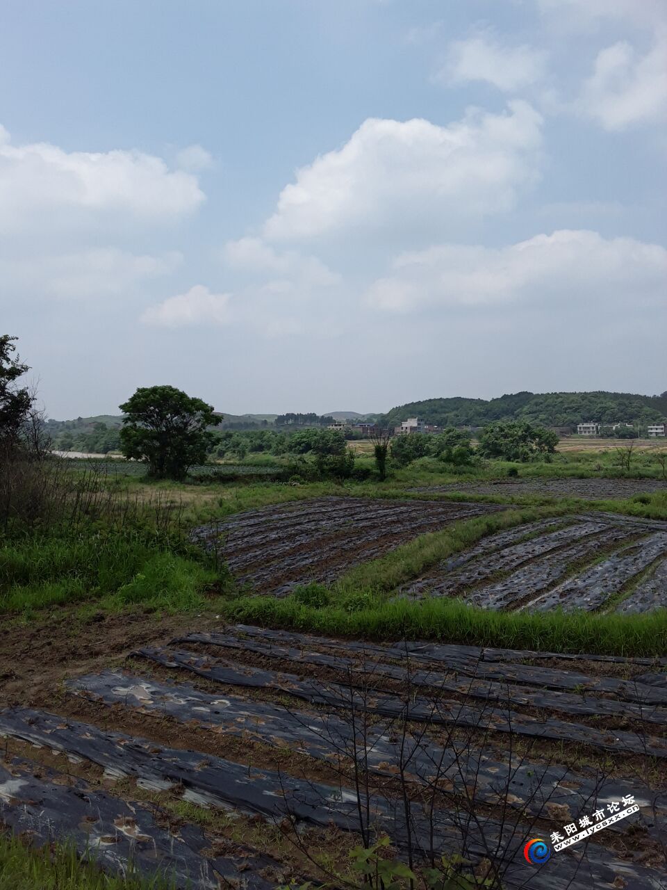 QQͼƬ20180509070854.jpg