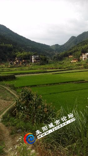 IMG_20170723_173630.jpg