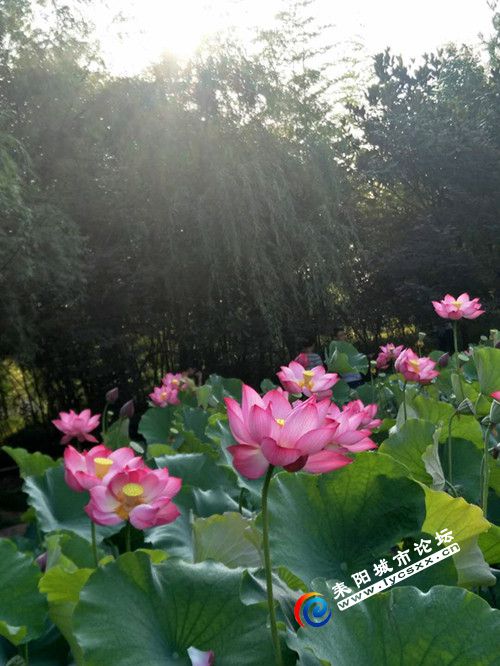 ΢ͼƬ_20180616211639.jpg
