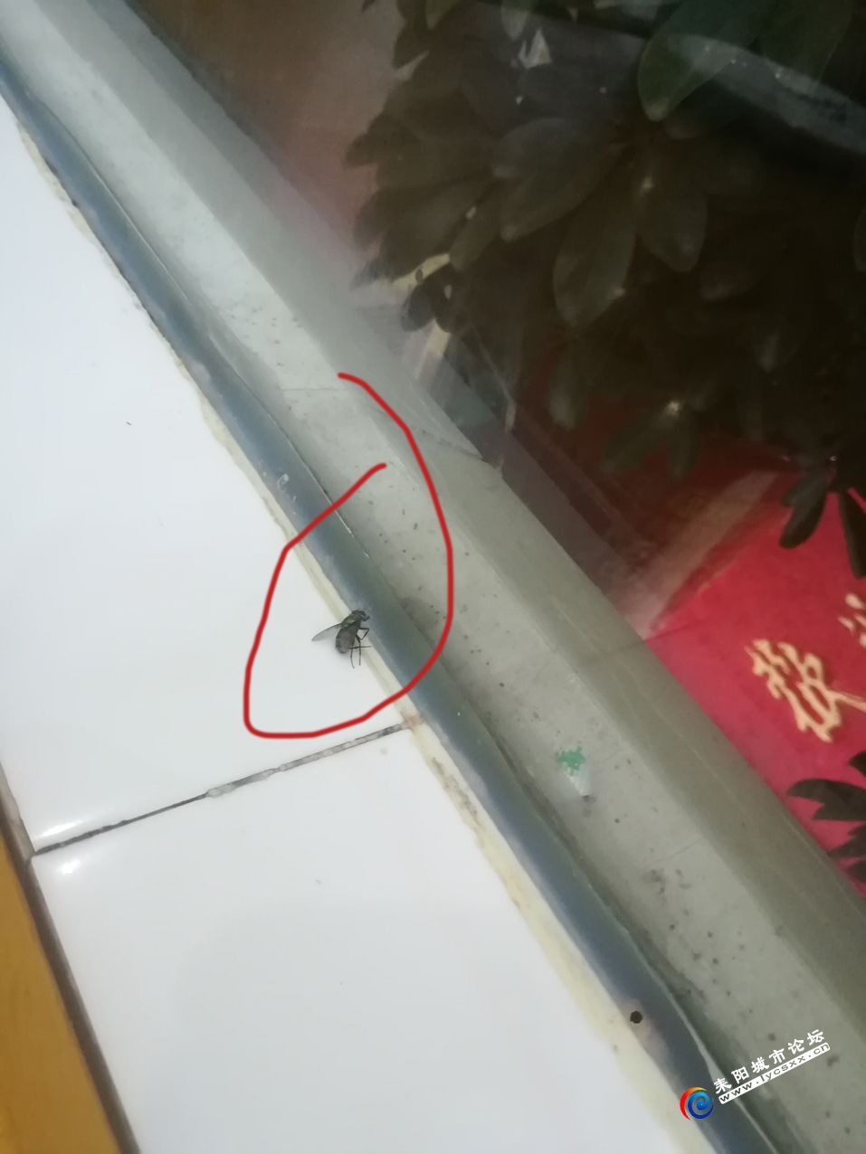 ΢ͼƬ_20180621163645.jpg