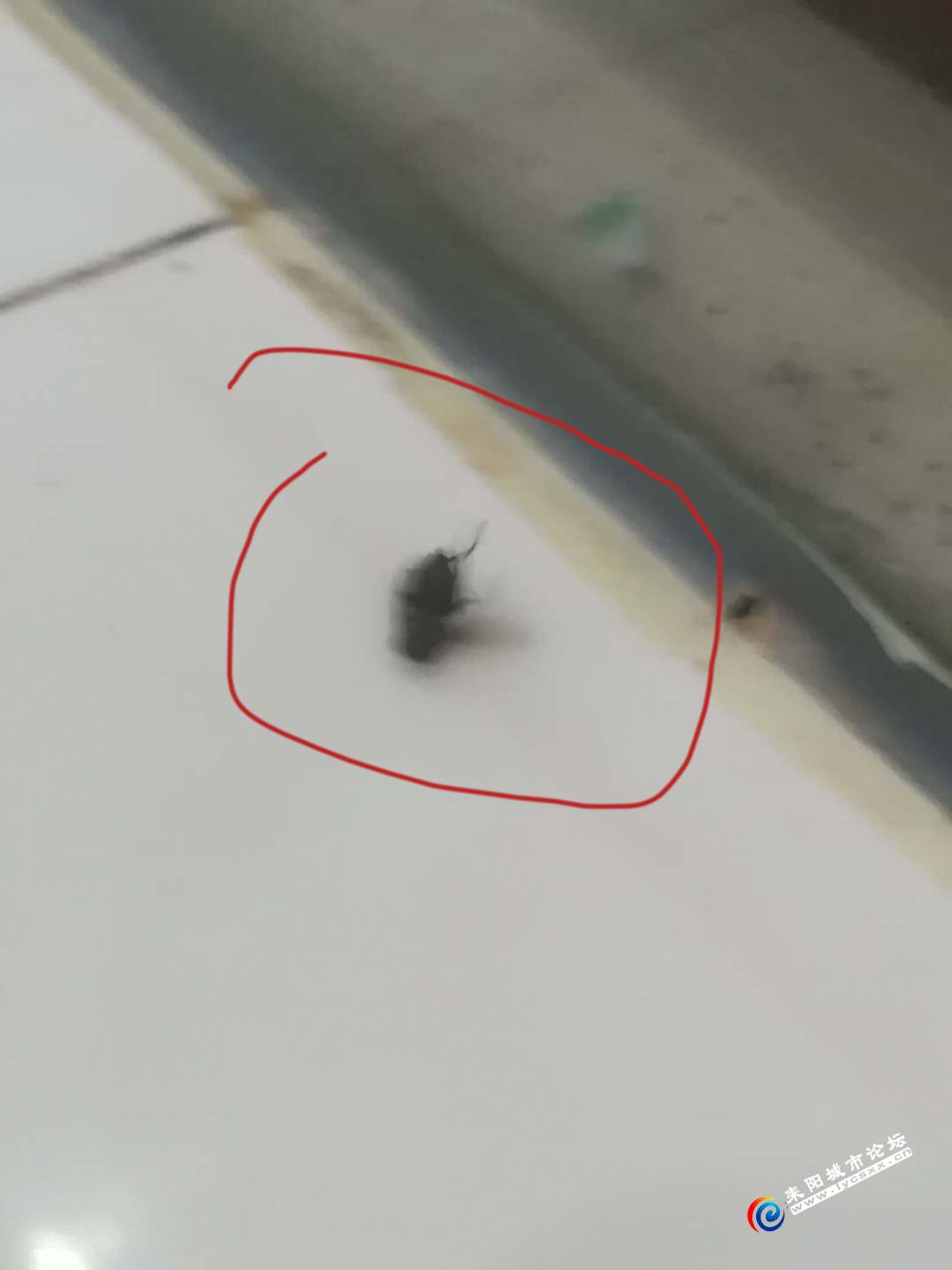 ΢ͼƬ_20180621163726.jpg