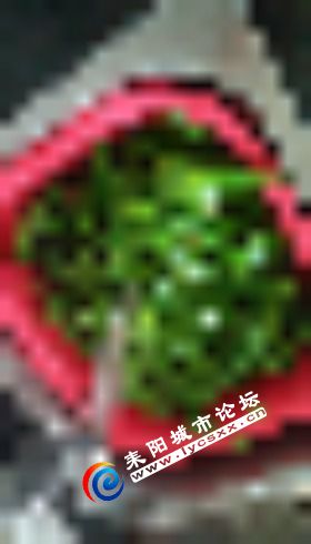 1530659746723.jpg