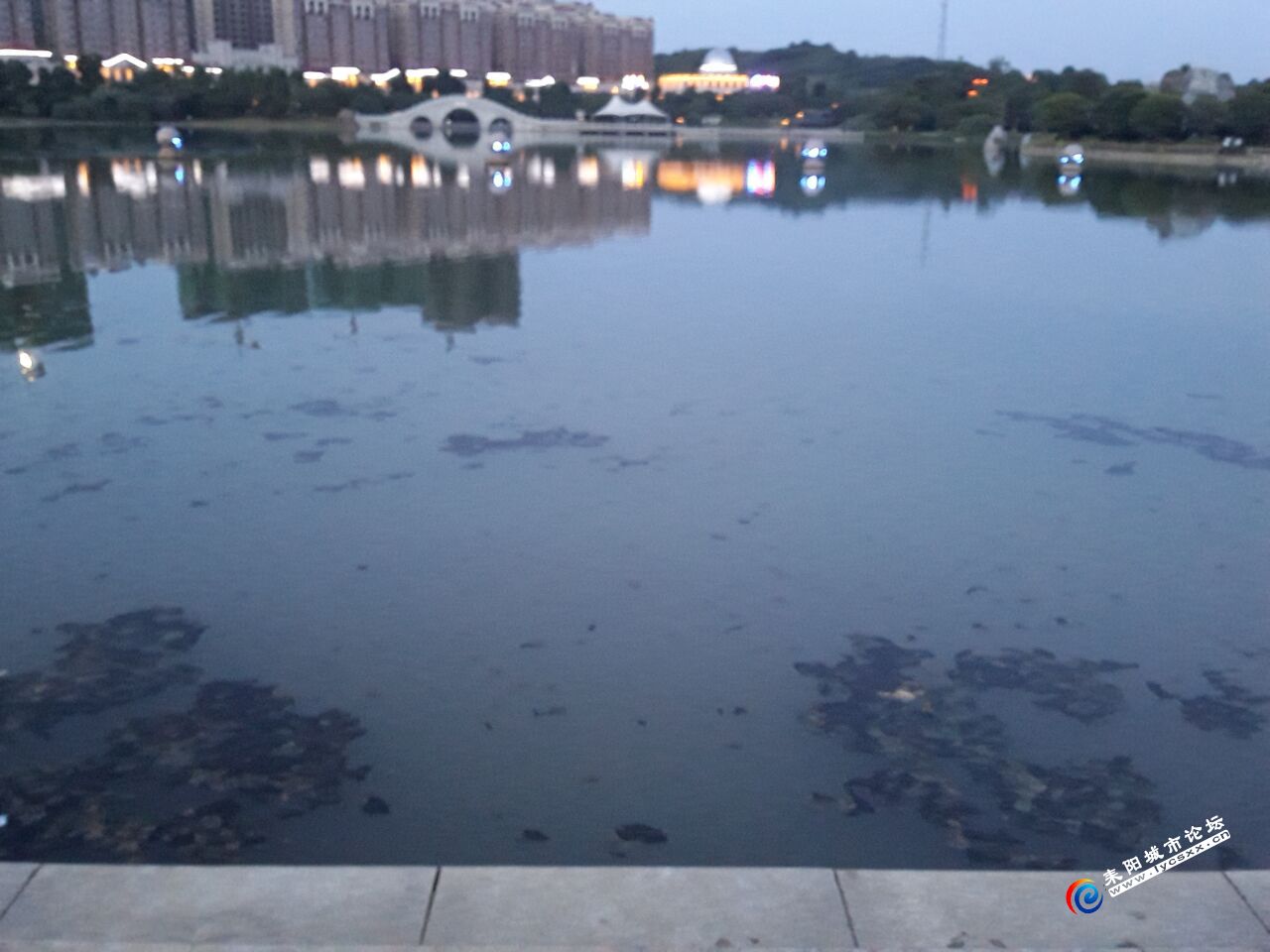 QQͼƬ20180710095933.jpg