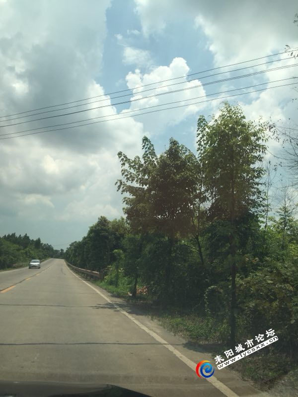 QQͼƬ20180719162139.jpg