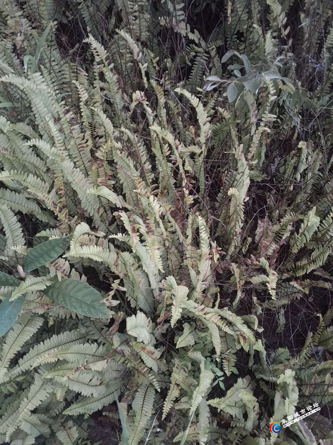 ΢ͼƬ_20180725095334.jpg