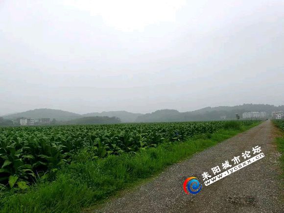 ed9591cad1c8a786ac0dfa906209c93d71cf5097.jpg
