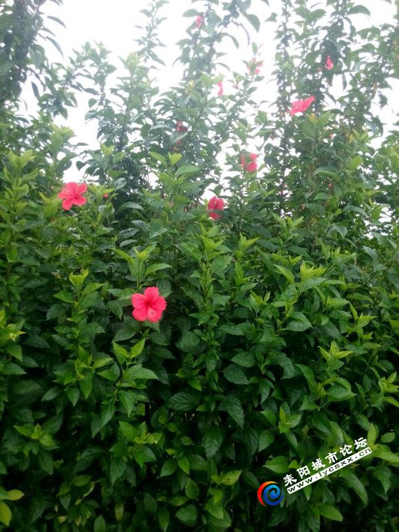 182808f431adcbeff3cf5599a9af2edda1cc9fc4.jpg
