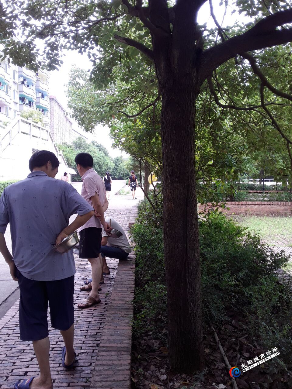 QQͼƬ20180828155644.jpg