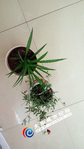 IMG_20180902_092415.jpg