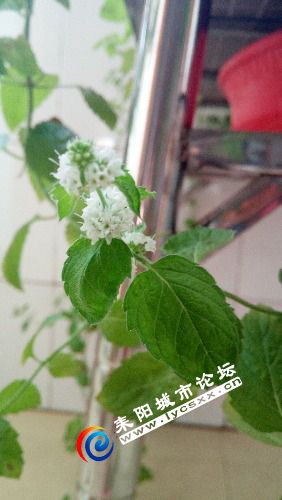 IMG_20180914_092255.jpg