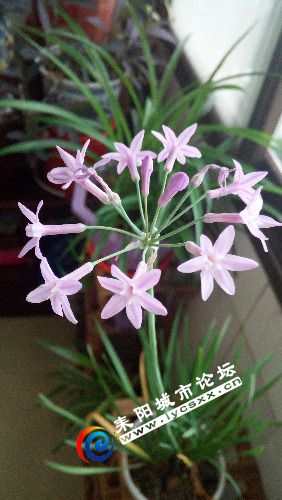 IMG_20180507_173448.jpg
