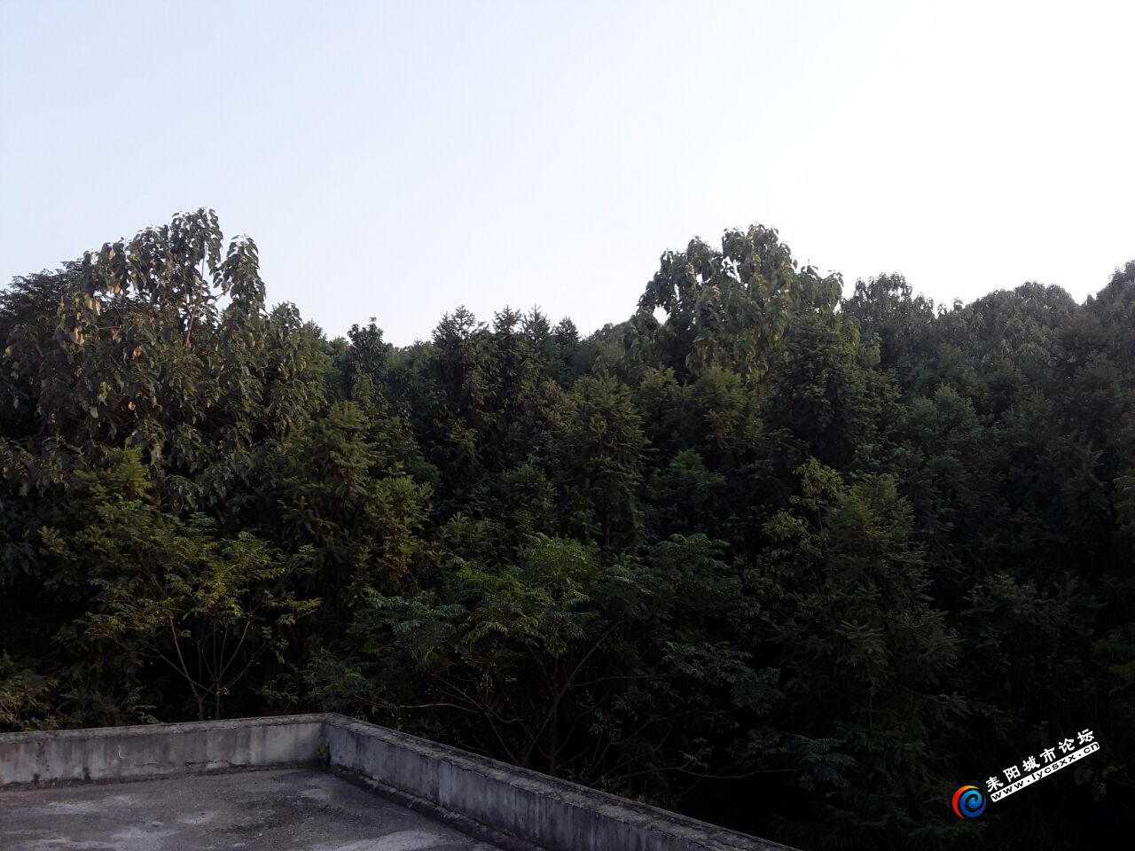 QQͼƬ20181006120541.jpg