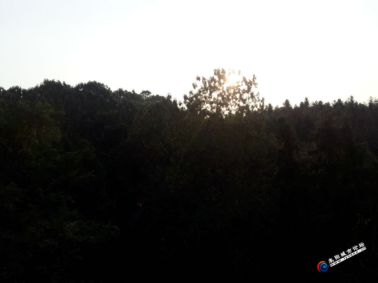 QQͼƬ20181006120536.jpg