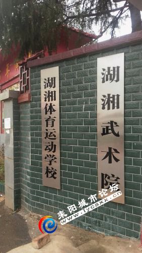 wx_camera_1540015634366.jpg