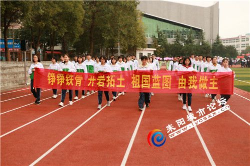 p13.jpg