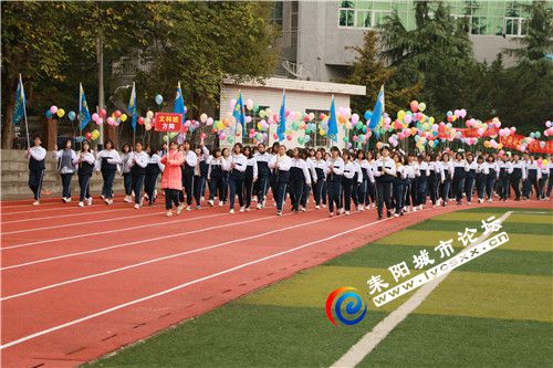 p17.jpg
