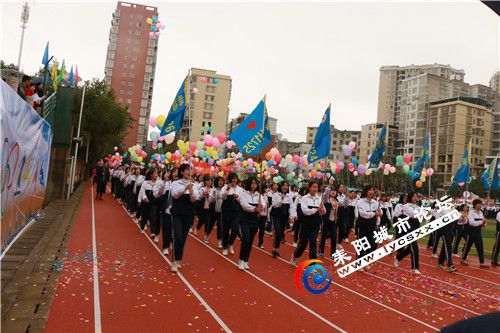 p20.jpg