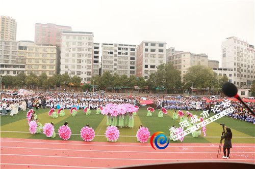 p26.jpg