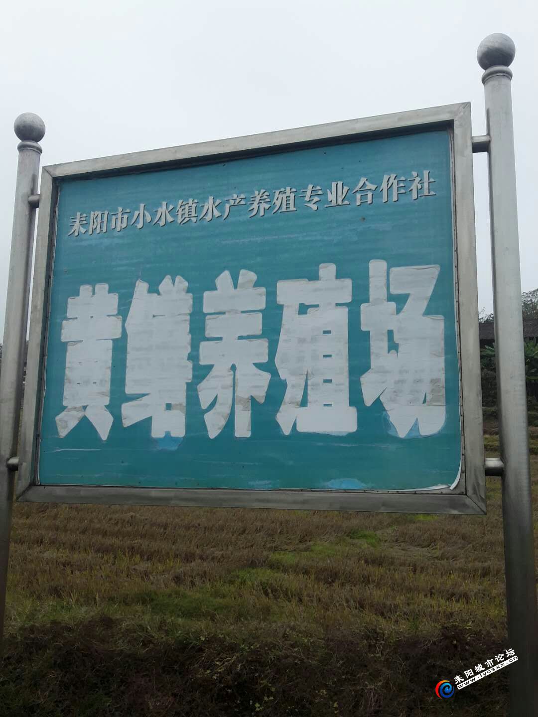 QQͼƬ20181109095528.jpg