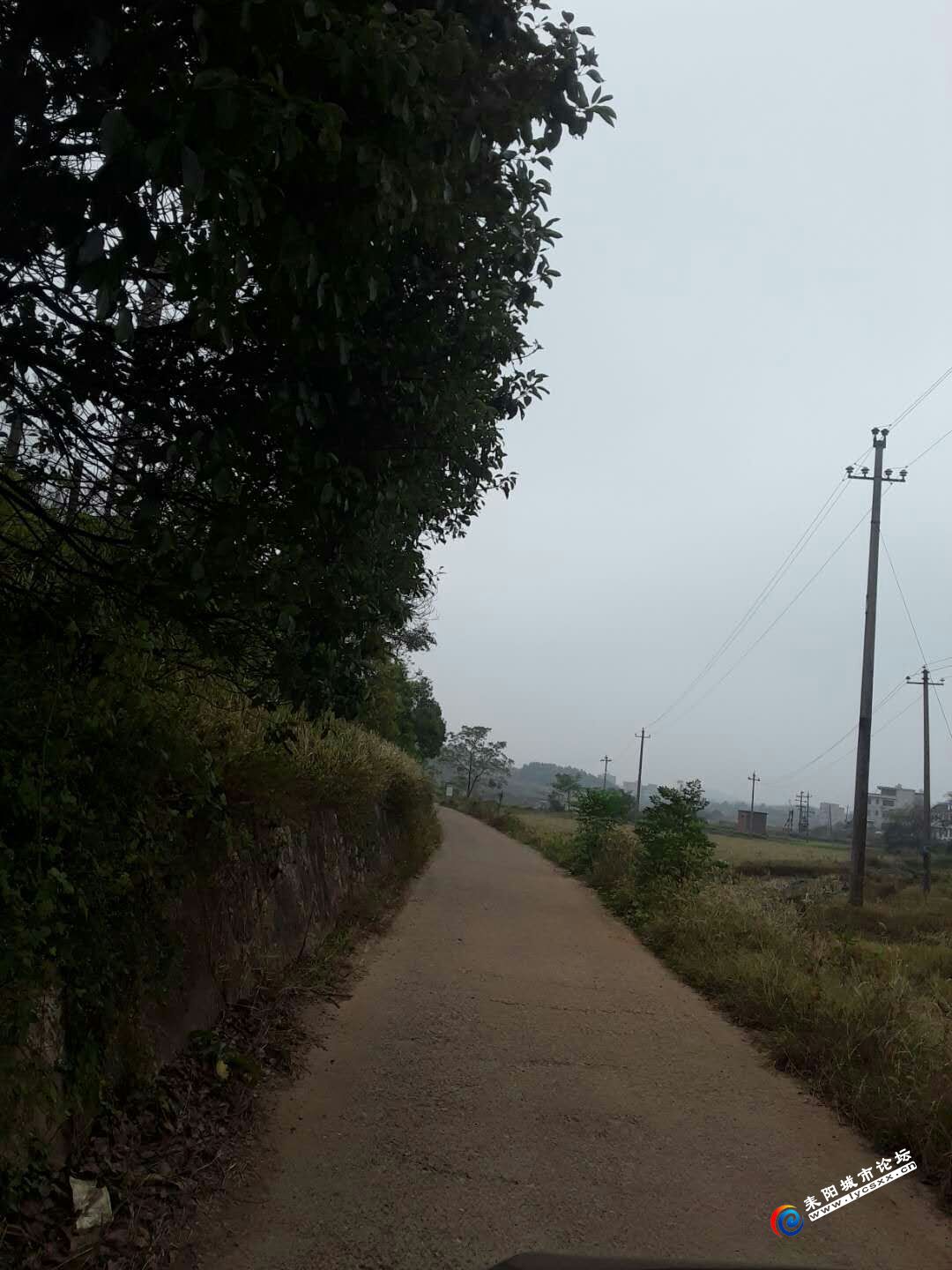 QQͼƬ20181110114534.jpg
