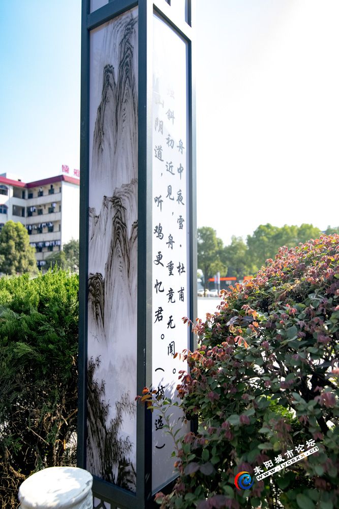 ʫʵ_DSC4949.jpg