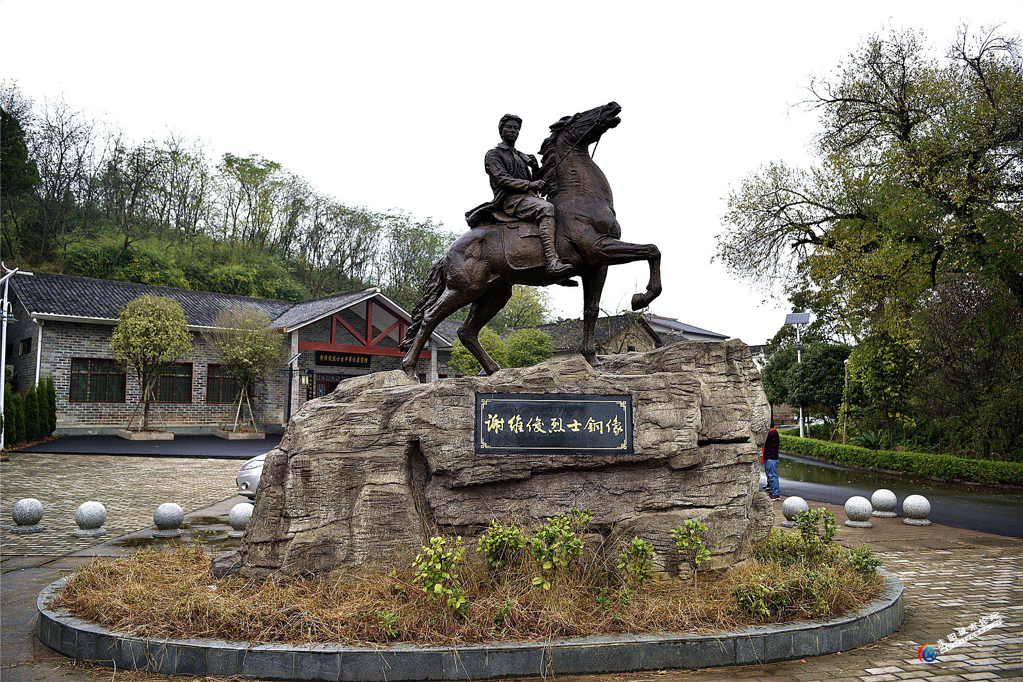 _DSC9950_.jpg