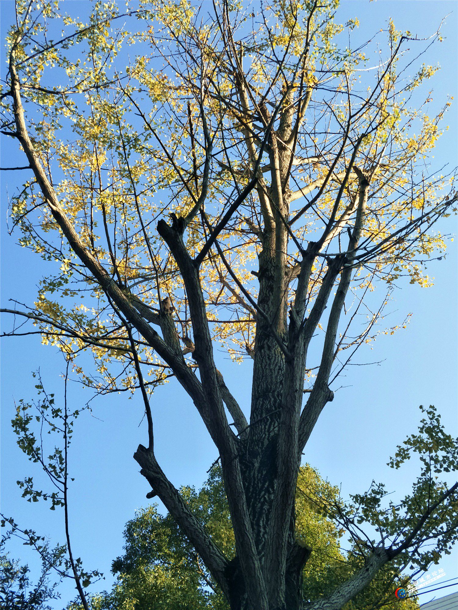 IMG20181128155253_.jpg